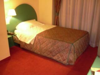 Hotel De La Place Des Alpes 2*