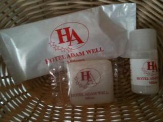 De La Place Des Alpes 2*